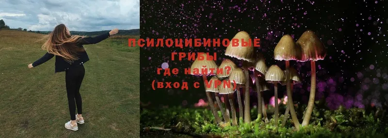 Галлюциногенные грибы Magic Shrooms  дарк нет как зайти  Боровск 